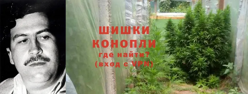 Бошки марихуана THC 21%  Бутурлиновка 